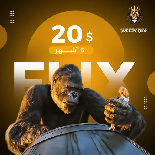 ويزي فليكس باقة 6 أشهر