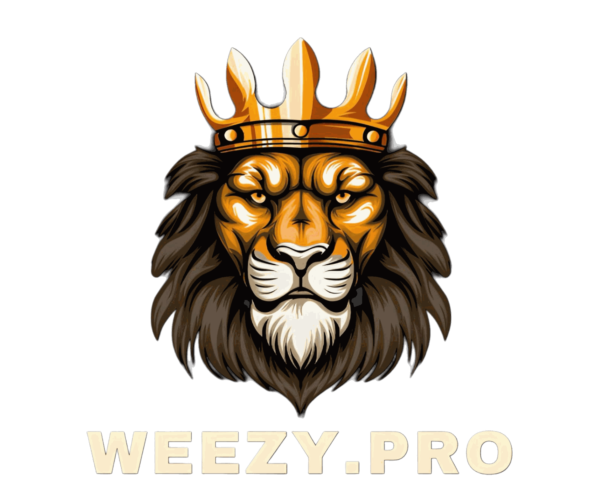 weezy pro 